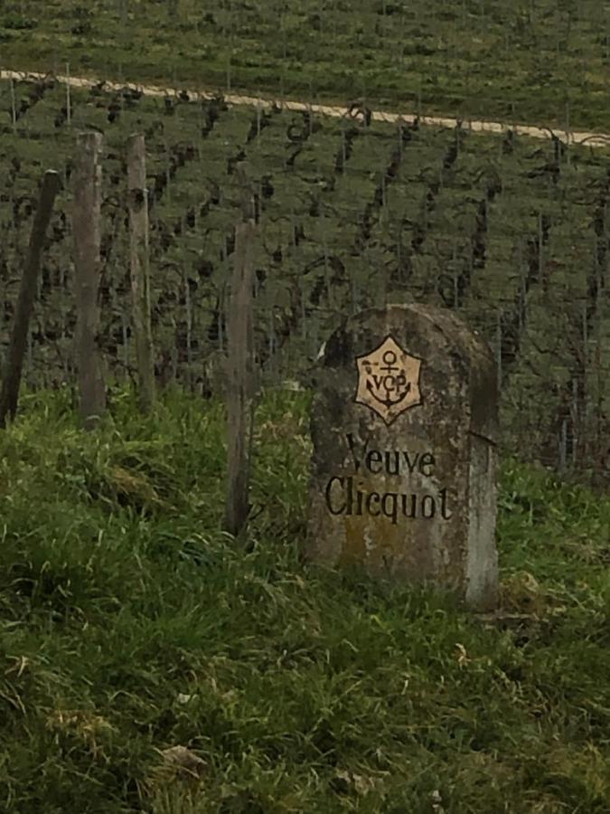 مبيت وإفطار Villers-Marmery L'Escapade Champenoise المظهر الخارجي الصورة